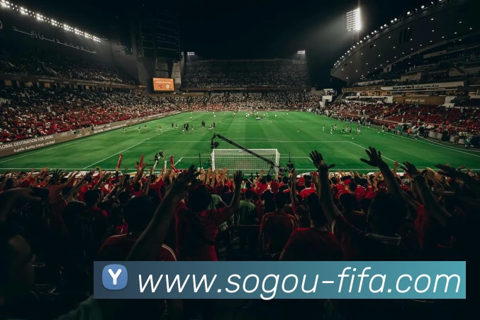 世界杯官方平台发展历程